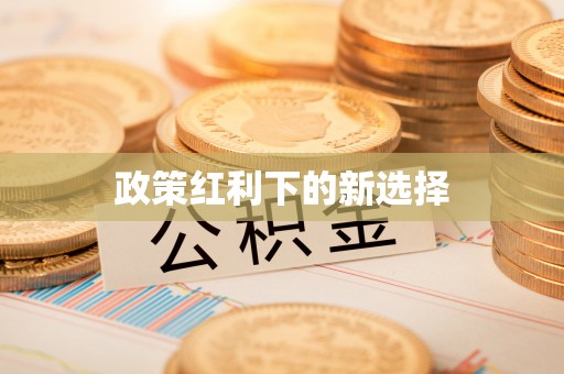 衡阳政策红利下的新选择