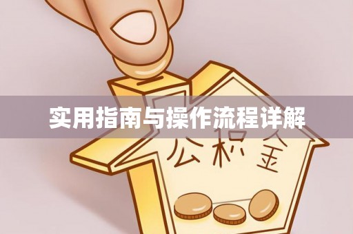 衡阳实用指南与操作流程详解